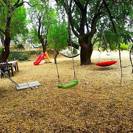 Family Nest *