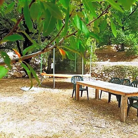 Family Nest Apartment